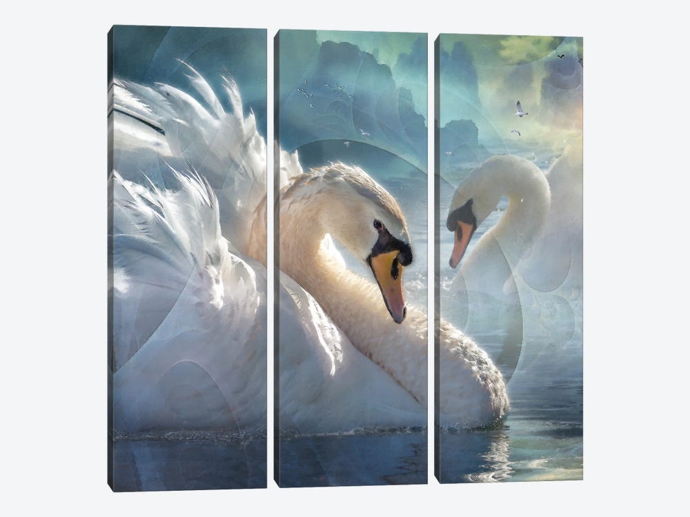 Celestial Swans I by Steve Hunziker 3-piece Canvas Artwork