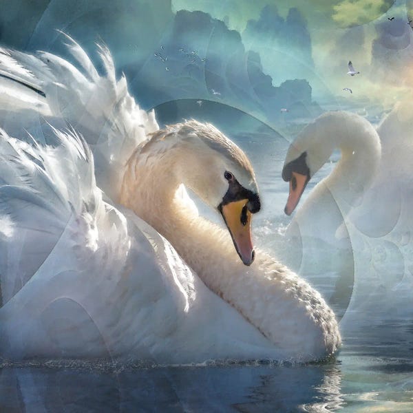 Steve Hunziker: Celestial Swans I by Steve Hunziker