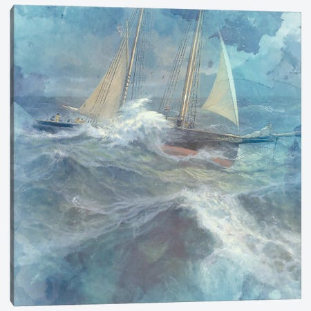 Coastal I Canvas Print #ZIK108} by Steve Hunziker Art Print