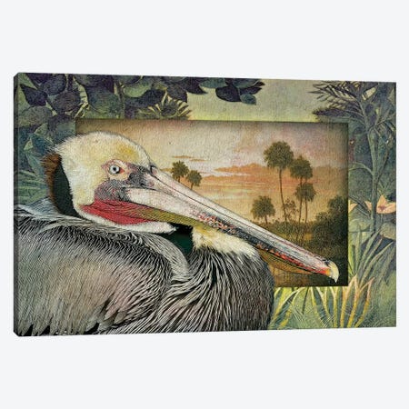 Pelican Paradise I Canvas Print #ZIK10} by Steve Hunziker Canvas Art