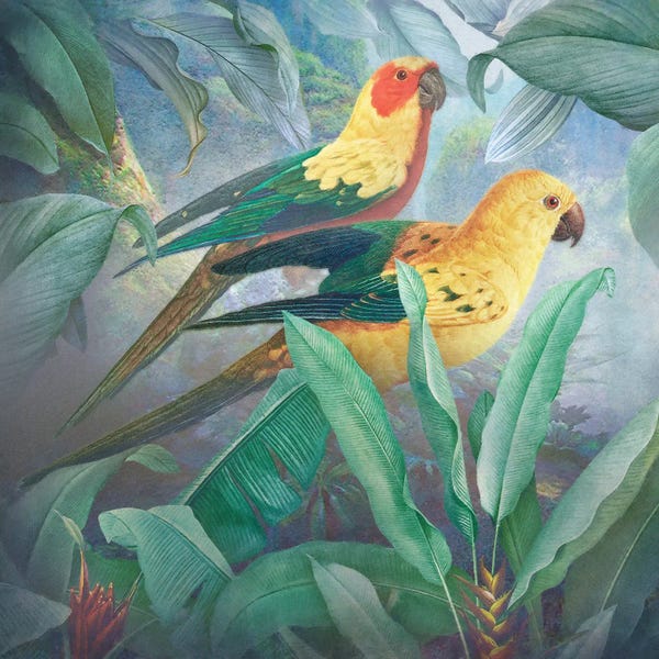 Steve Hunziker: Coastal Plumage II by Steve Hunziker