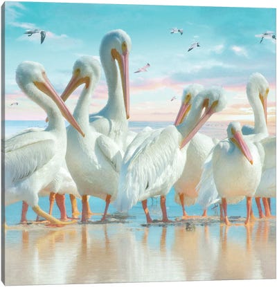 Coastal Plumage III Canvas Art Print - Pelican Art