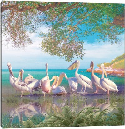 Coastal Plumage V Canvas Art Print - Pelican Art