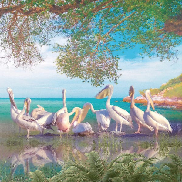 Steve Hunziker: Coastal Plumage V by Steve Hunziker