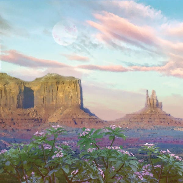 Steve Hunziker: Desert Moon by Steve Hunziker