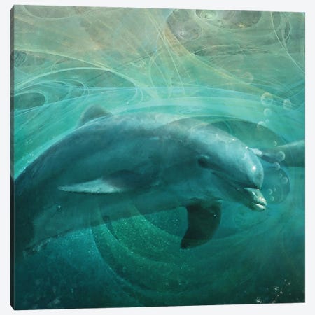 Detail Of Left Side, Dolphin Drifters Canvas Print #ZIK116} by Steve Hunziker Canvas Art Print