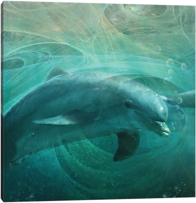Detail Of Left Side, Dolphin Drifters Canvas Art Print - Steve Hunziker