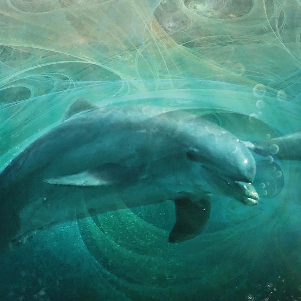 Steve Hunziker: Detail Of Left Side, Dolphin Drifters by Steve Hunziker