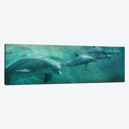 Dolphin Drifters Canvas Print #ZIK117} by Steve Hunziker Canvas Art Print