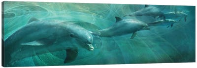 Dolphin Drifters Canvas Art Print - Steve Hunziker
