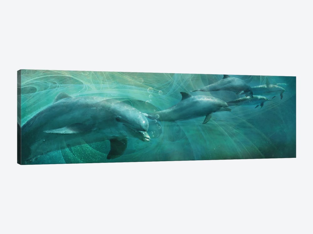 Dolphin Drifters by Steve Hunziker 1-piece Canvas Art Print