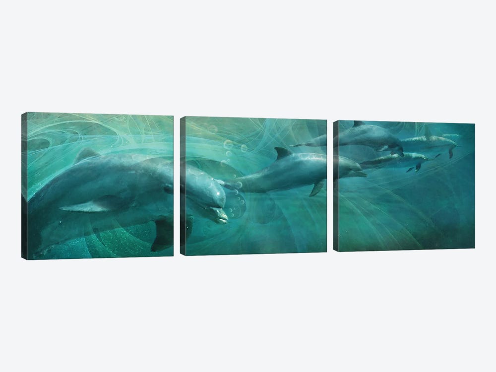 Dolphin Drifters by Steve Hunziker 3-piece Canvas Print