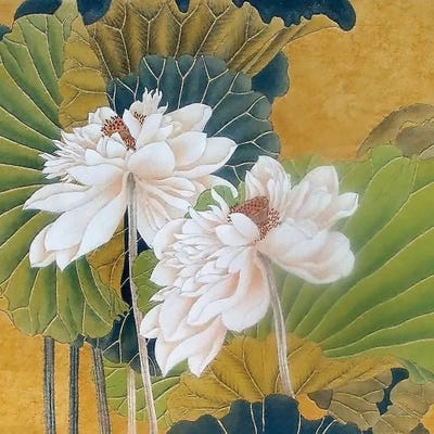 Historical Flora I by Steve Hunziker framed wall art