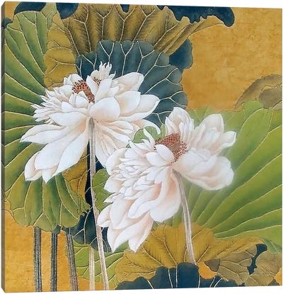 Historical Flora I Canvas Art Print - Steve Hunziker