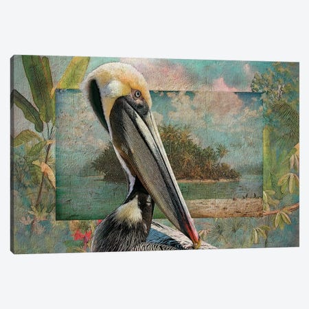 Pelican Paradise II Canvas Print #ZIK11} by Steve Hunziker Canvas Art
