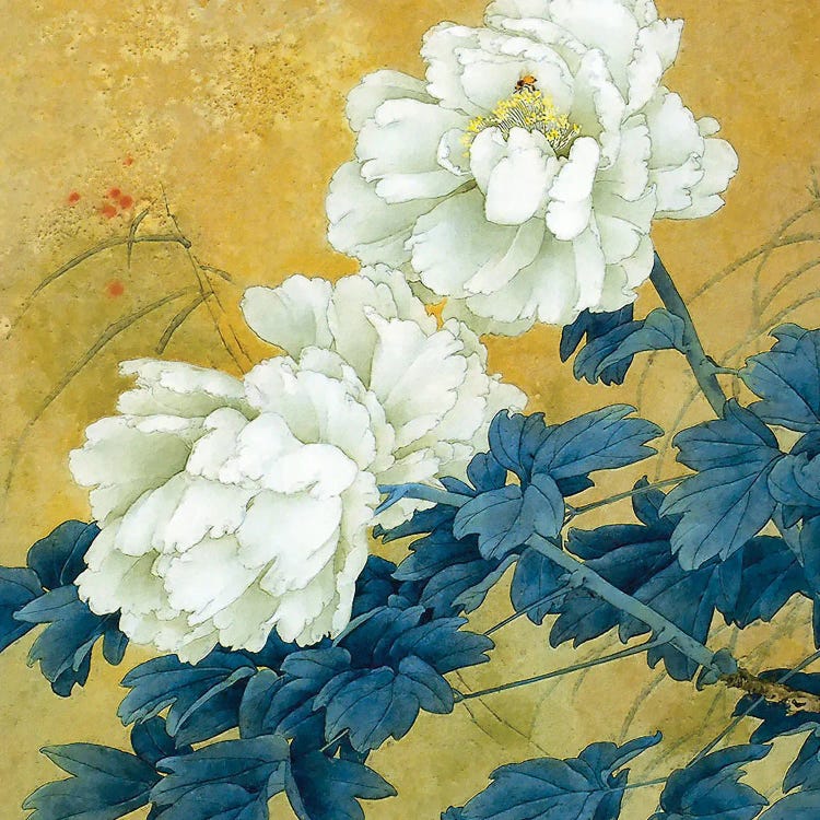 Historical Flora II by Steve Hunziker wall art