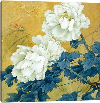 Historical Flora II Canvas Art Print - Steve Hunziker