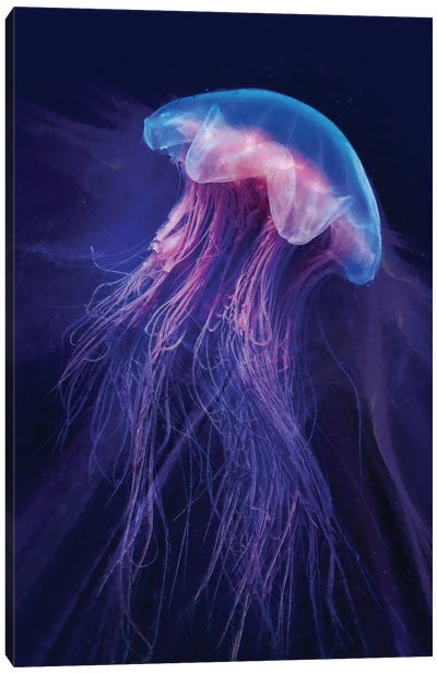 Peri Gelatinous II Canvas Art Print - Jellyfish Art