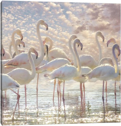 Quiet Wave Of Pink Canvas Art Print - Flamingo Art