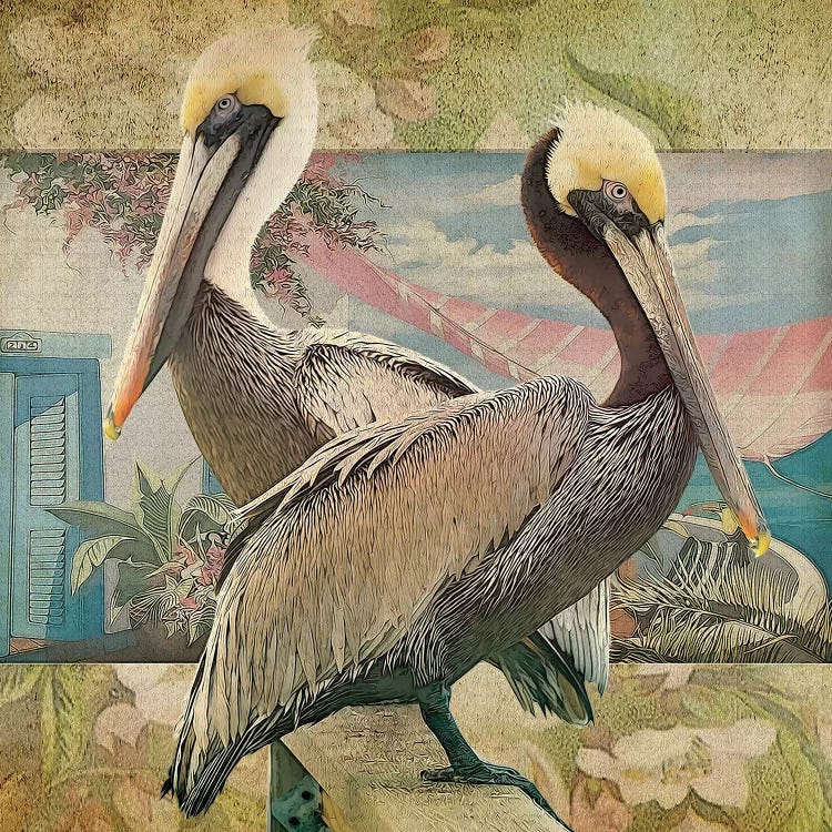 Pelican Paradise IV by Steve Hunziker wall art