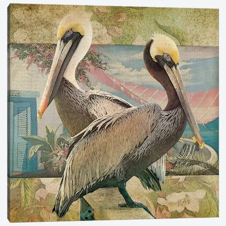 Pelican Paradise IV Canvas Print #ZIK13} by Steve Hunziker Canvas Artwork