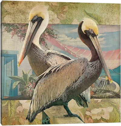 Pelican Paradise IV Canvas Art Print - Pelican Art