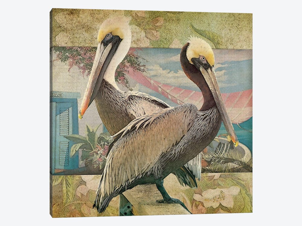 Pelican Paradise IV by Steve Hunziker 1-piece Canvas Art