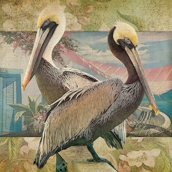 Steve Hunziker: Pelican Paradise IV by Steve Hunziker