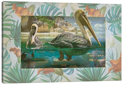 Pelican Paradise V Canvas Art Print - Steve Hunziker