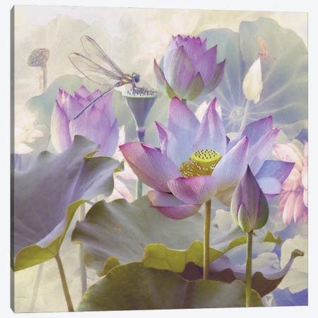 Lotus Sanctuary II Canvas Print #ZIK18} by Steve Hunziker Canvas Art