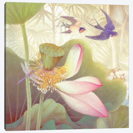 Lotus Sanctuary III Canvas Print #ZIK19} by Steve Hunziker Canvas Artwork