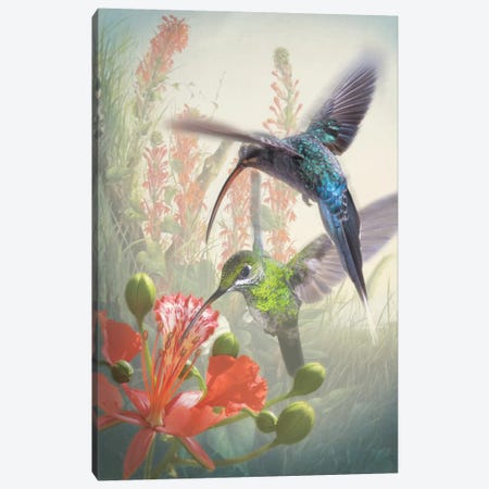Hummingbird Cycle I Canvas Print #ZIK1} by Steve Hunziker Canvas Art