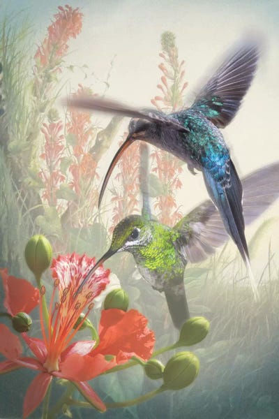 Steve Hunziker: Hummingbird Cycle I by Steve Hunziker