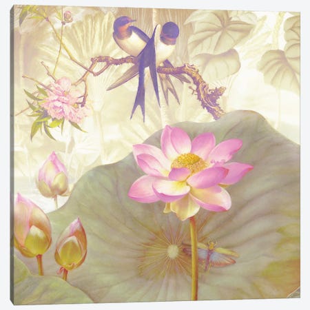 Lotus Sanctuary IV Canvas Print #ZIK20} by Steve Hunziker Art Print