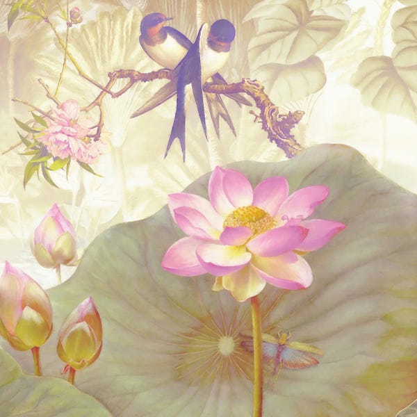 Lotuses: Lotus Sanctuary IV by Steve Hunziker