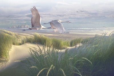 Coastalcruisers by Steve Hunziker framed wall art