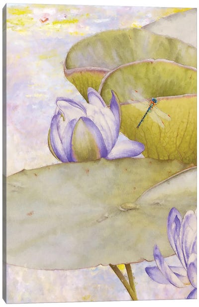 Enchantedlotus I Canvas Art Print - Steve Hunziker