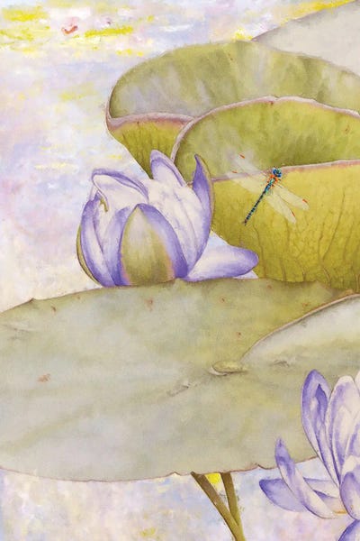 Water Lilies: Enchantedlotus I by Steve Hunziker