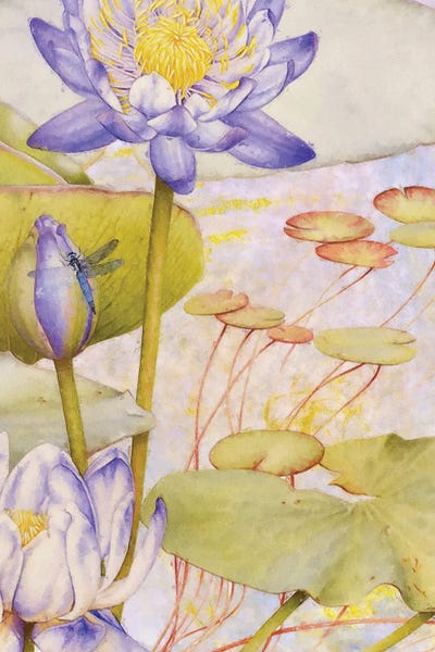 Steve Hunziker: Enchantedlotus II by Steve Hunziker