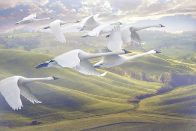 Phantomflyers by Steve Hunziker art print