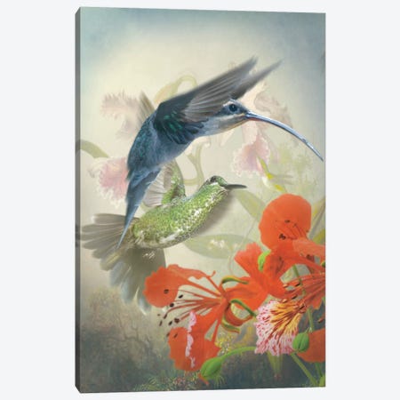 Hummingbird Cycle II Canvas Print #ZIK2} by Steve Hunziker Canvas Wall Art