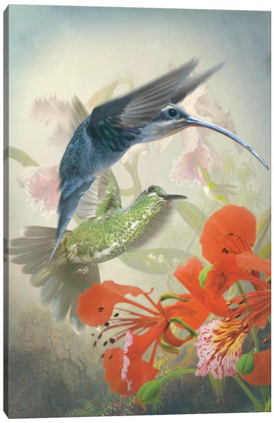 Hummingbird Cycle II Canvas Art Print - Steve Hunziker