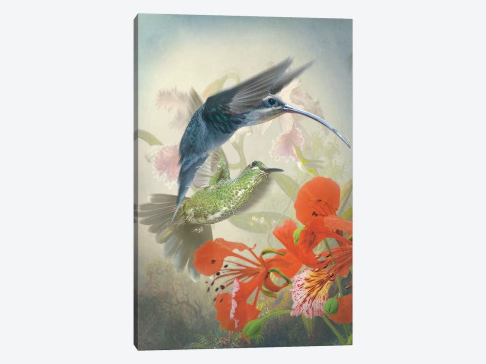 Hummingbird Cycle II by Steve Hunziker 1-piece Canvas Art Print
