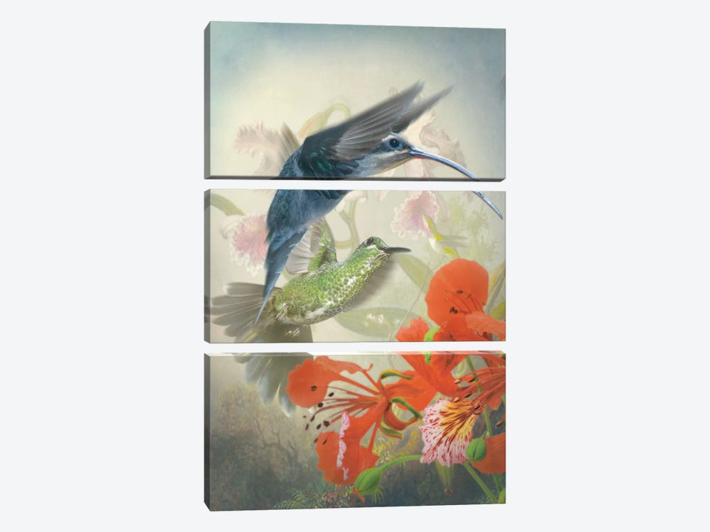 Hummingbird Cycle II 3-piece Canvas Art Print