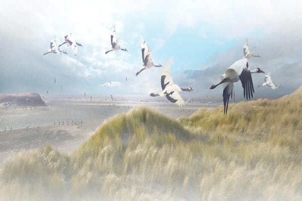 Steve Hunziker: Coastalsoaring by Steve Hunziker