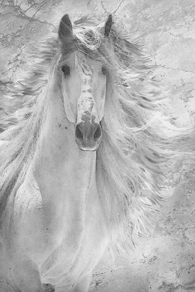 Fresco Pony One by Steve Hunziker framed wall art