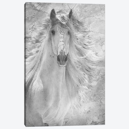 Fresco Pony One Canvas Print #ZIK34} by Steve Hunziker Art Print