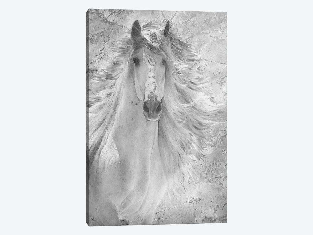 Fresco Pony One 1-piece Canvas Art Print