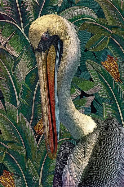 Primal Pelicana by Steve Hunziker framed wall art