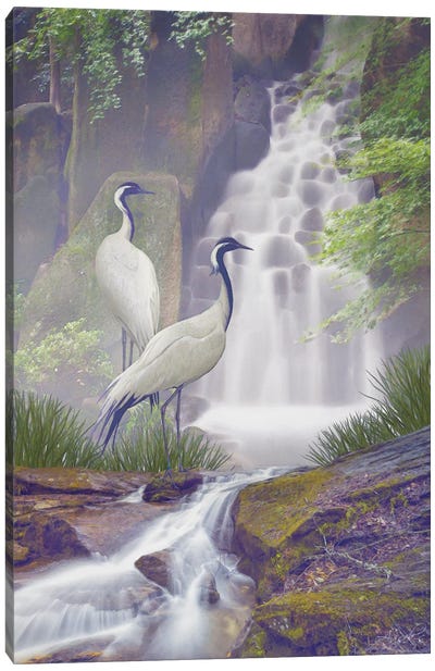 Mistic Crane Falls Canvas Art Print - Steve Hunziker